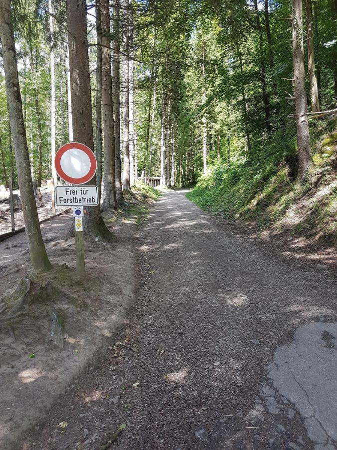 Storchennest Lejlighed Bad Säckingen Eksteriør billede